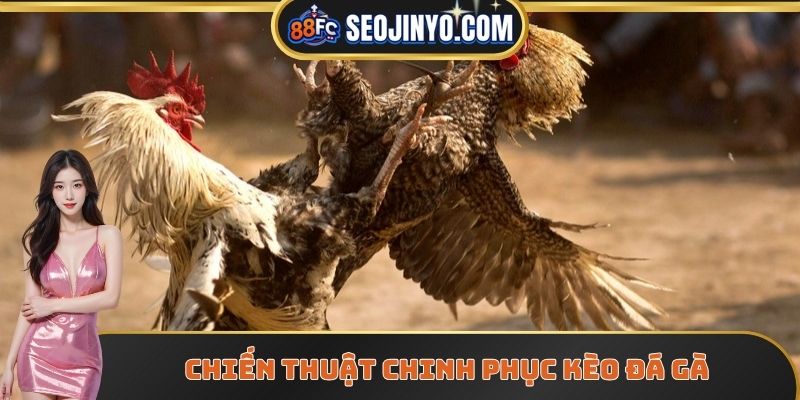 Chiến thuật chinh phục kèo đá gà hiệu quả
