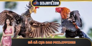 đá gà cựa dao Philippines